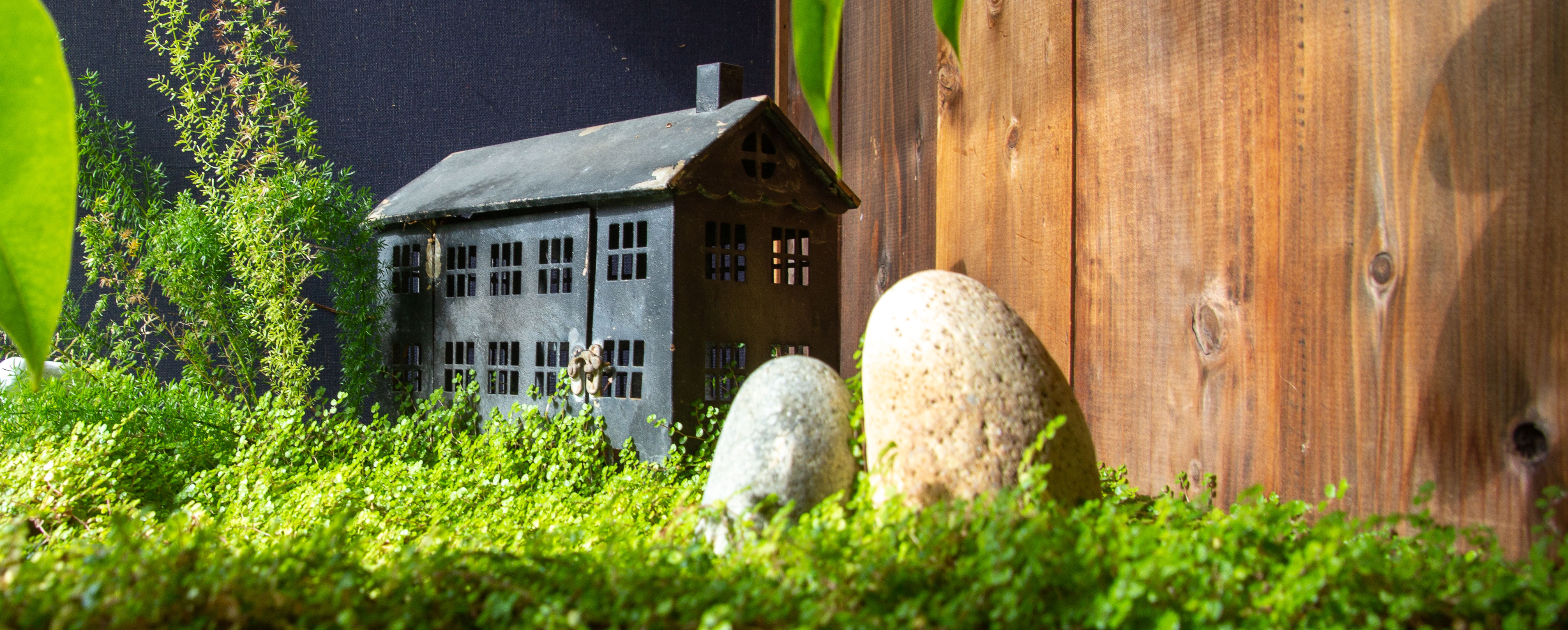 フィトライフ会社案内