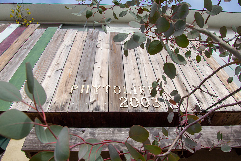 フィトライフ会社案内