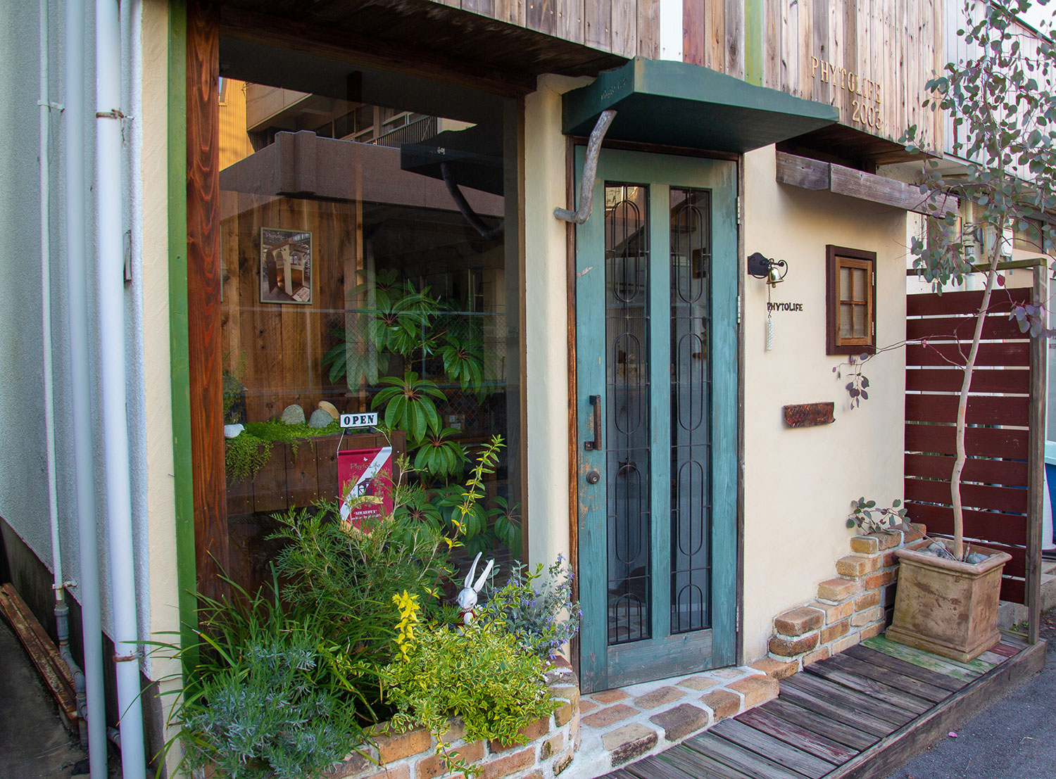 フィトライフ会社案内