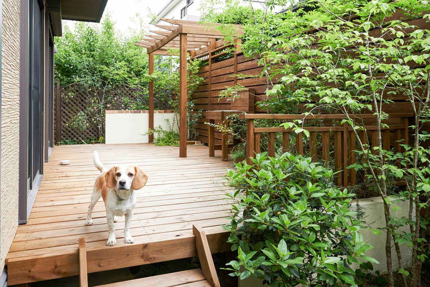 庭のリフォーム