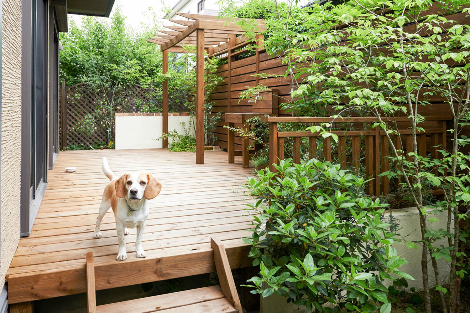 玄関、ポスト、アプローチ、駐車場、遮蔽（目隠し）、ウッドデッキ