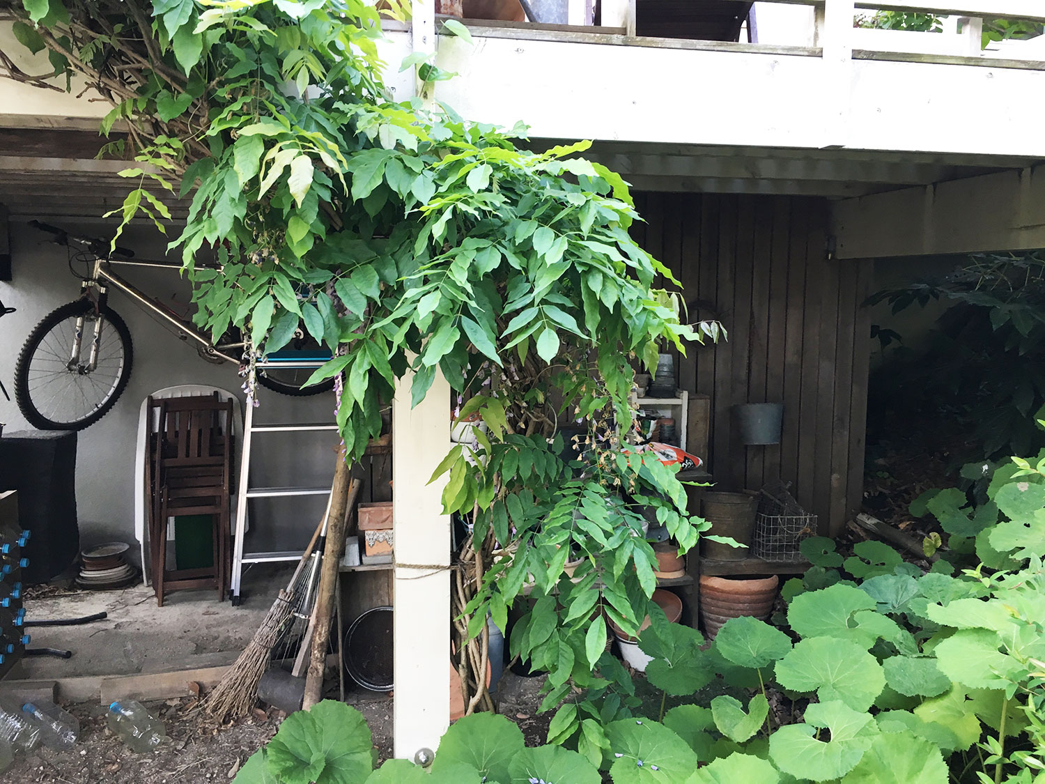 緑豊かな庭の総合リフォーム