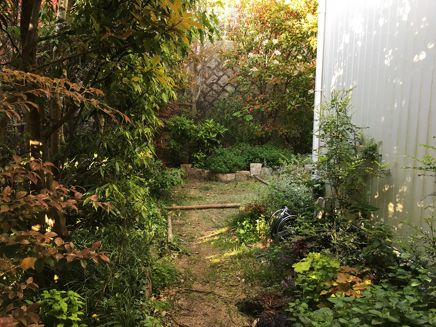 緑豊かな庭の総合リフォーム