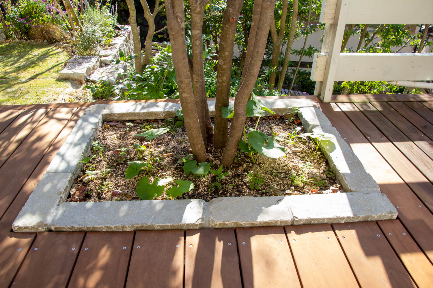 緑豊かな庭の総合リフォーム