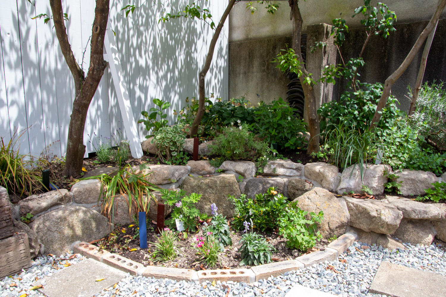 庭と料理を紡ぐ菜園（家庭菜園）