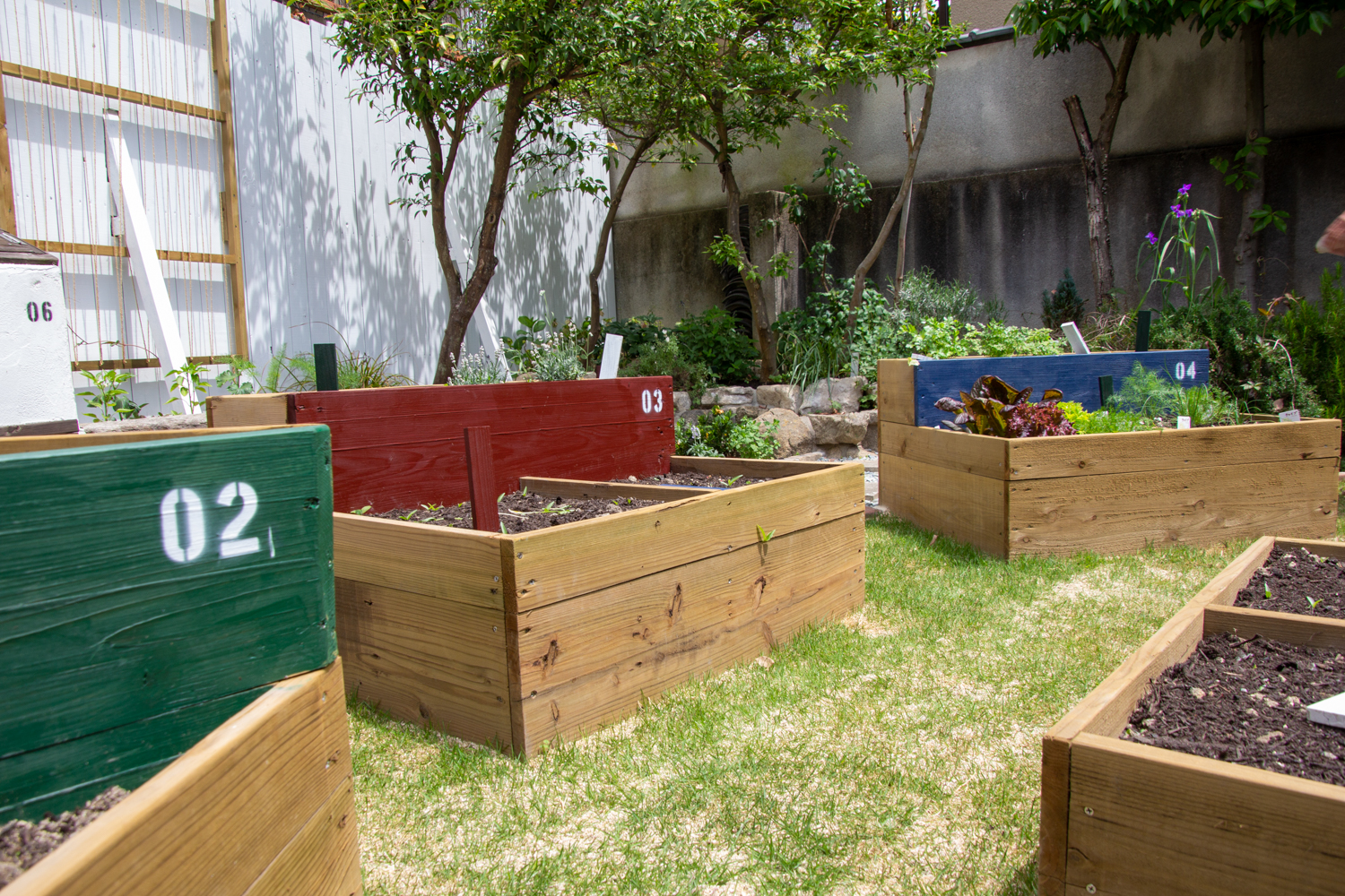 庭と料理を紡ぐ菜園（家庭菜園）