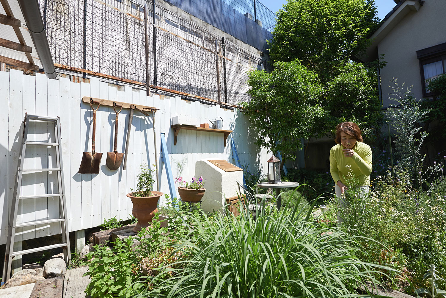 庭と料理を紡ぐ菜園（家庭菜園）