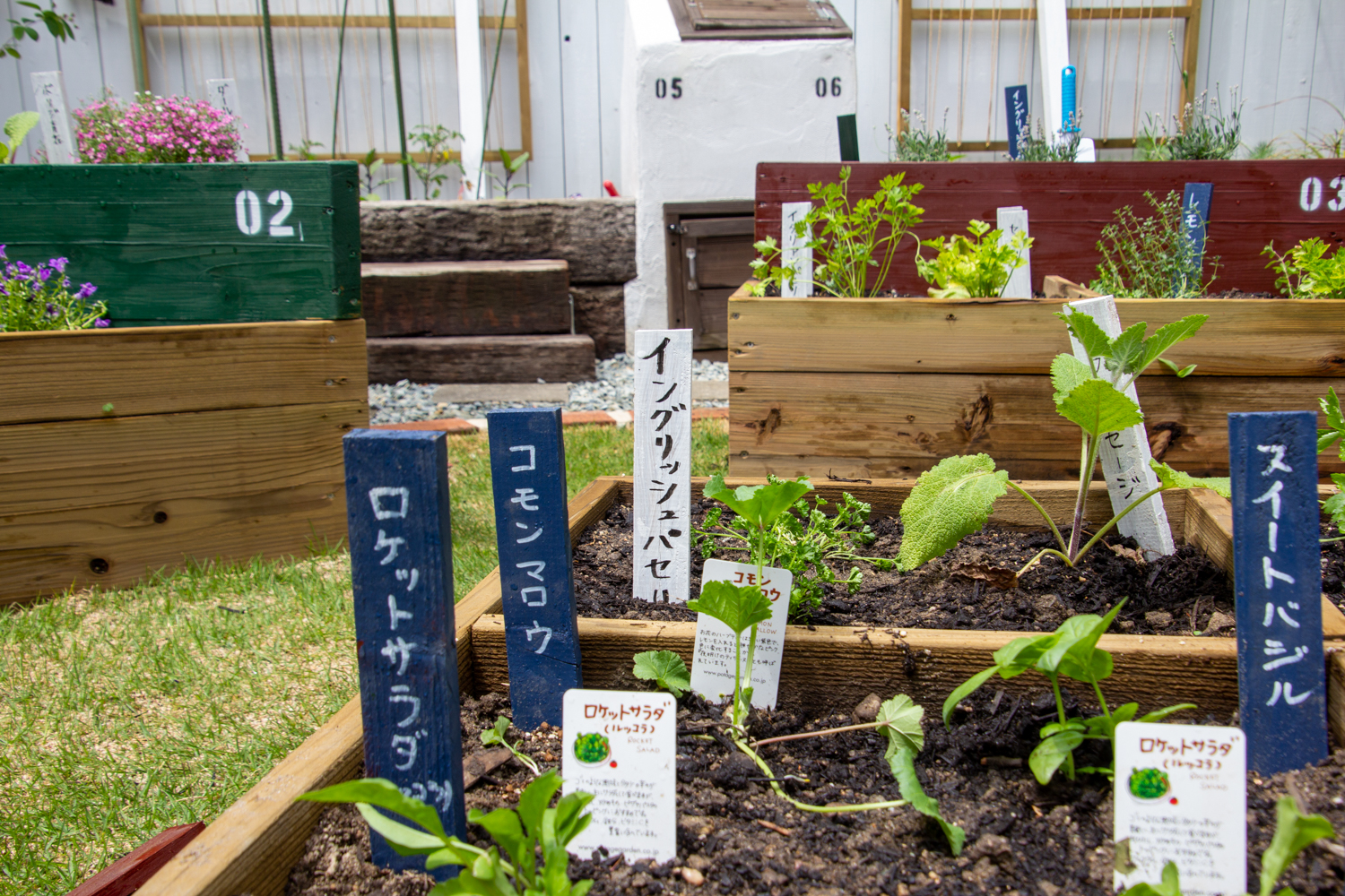 庭と料理を紡ぐ菜園（家庭菜園）