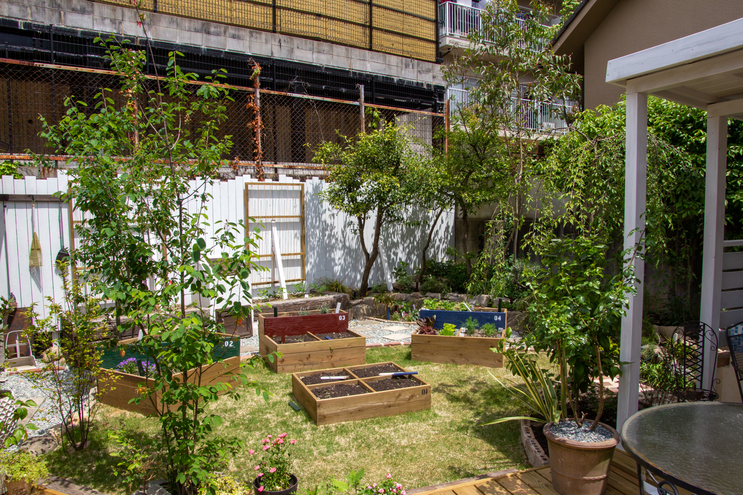 庭と料理を紡ぐ菜園（家庭菜園）