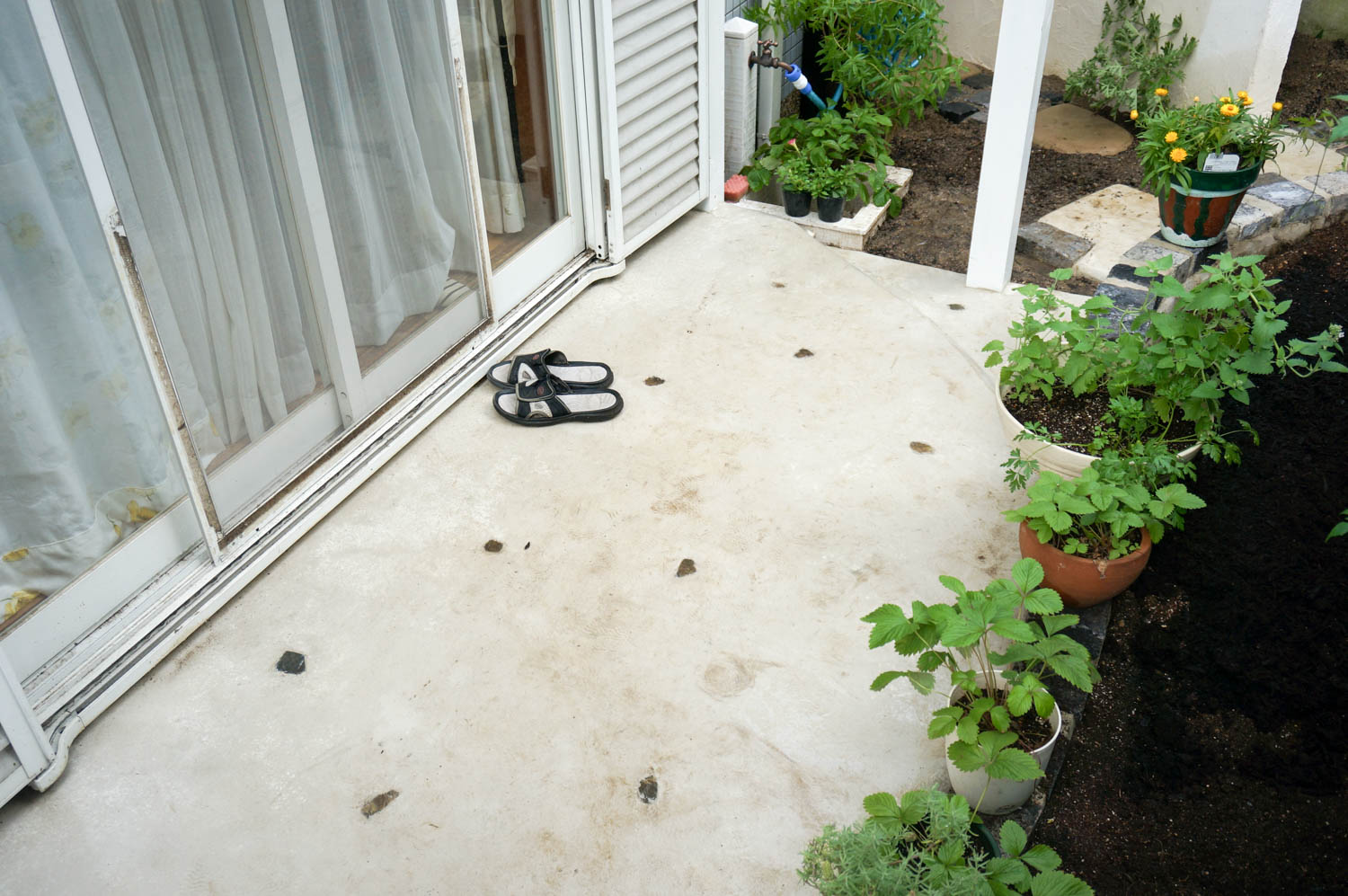 コンクリートの地面に植物を植えるリフォーム