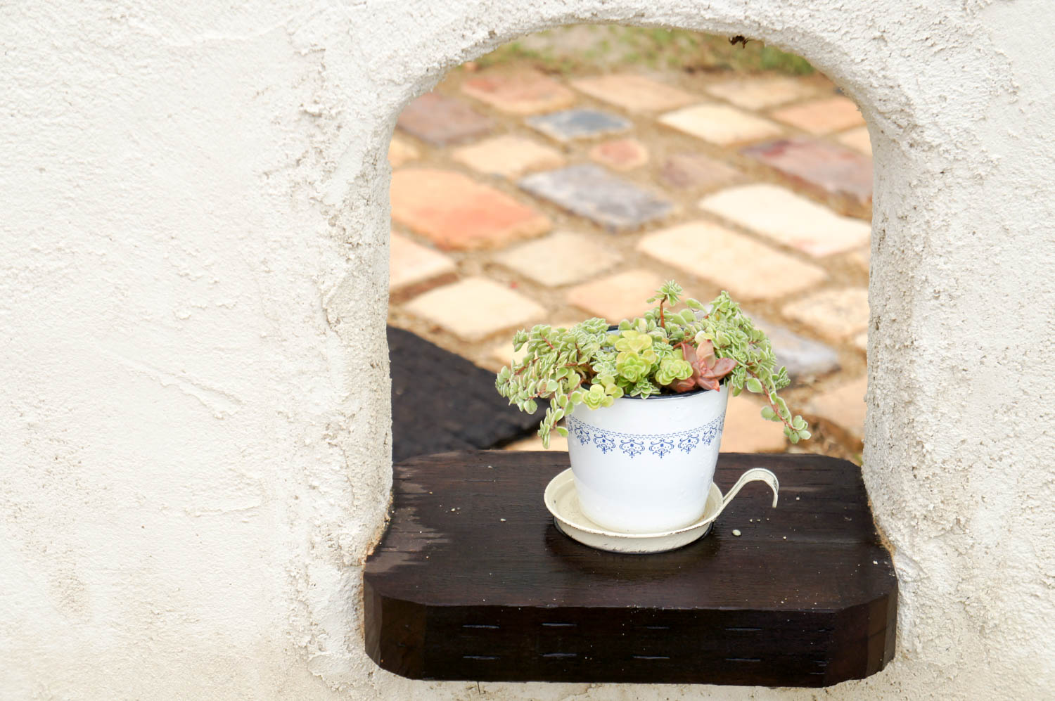 ハーフビルドで作るナチュラルガーデン