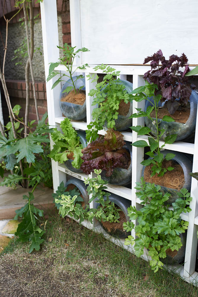 あいあいパークのモデルガーデン（2014年）