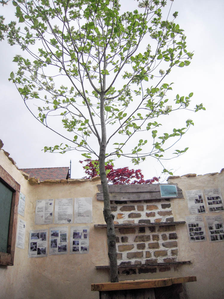 あいあいパークのモデルガーデン（2008年）