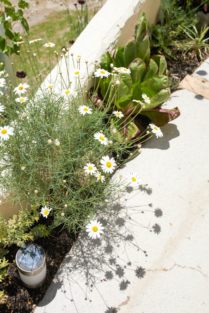 ２メートルの高低差の斜面を庭として有効活用する