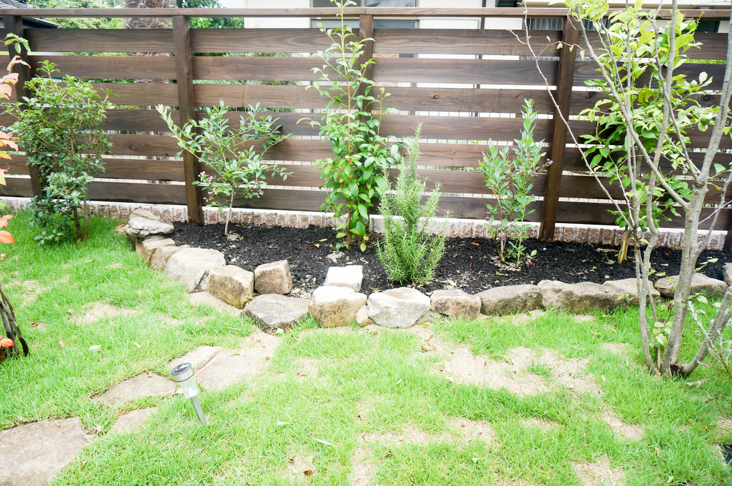 小さな雑木風のナチュラルガーデン