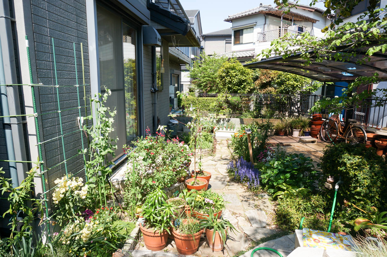 リフォーム前の庭