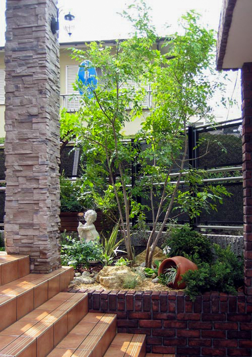 庭に植えたい樹木（シンボルツリー）や植物