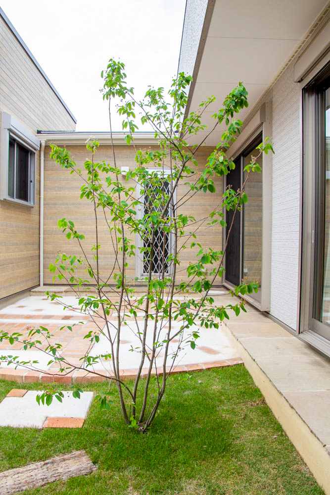 庭に植えたい樹木（シンボルツリー）や植物