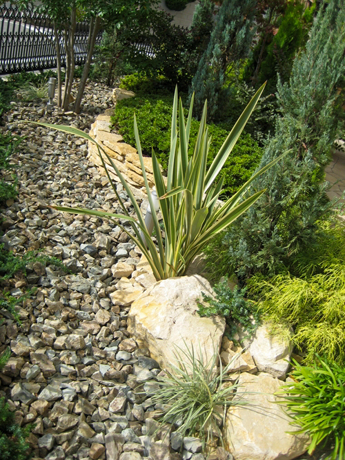 庭に植えたい樹木（シンボルツリー）や植物