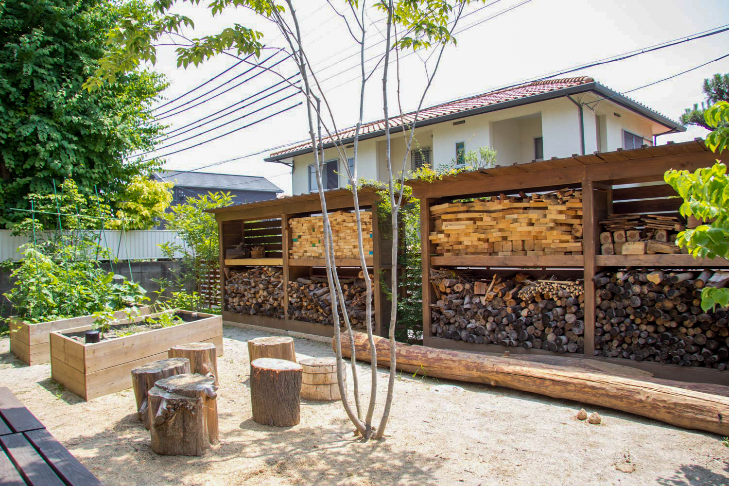 庭に植えたい樹木（シンボルツリー）や植物