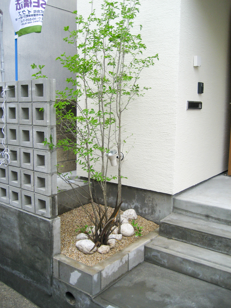 庭に植えたい樹木（シンボルツリー）や植物