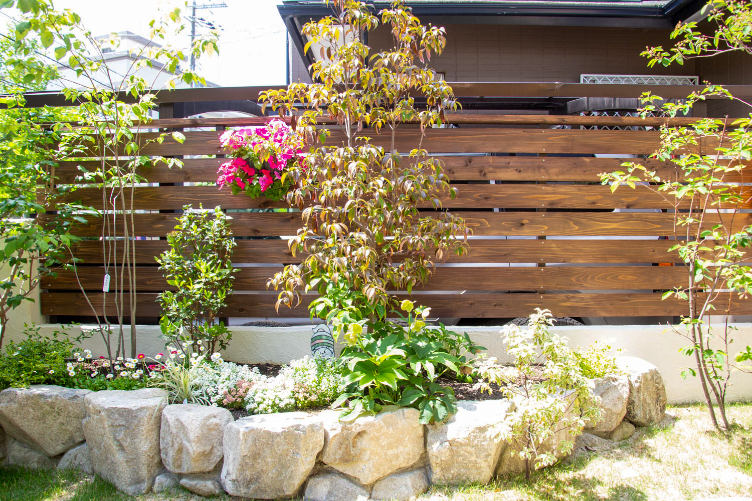 庭に植えたい樹木（シンボルツリー）や植物