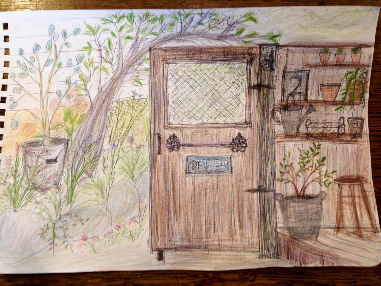 和風の庭を雑貨屋さんの可愛い庭に全面リフォームの施工前