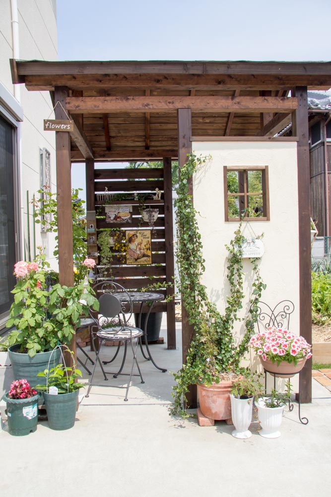 バラと家庭差延を楽しむ