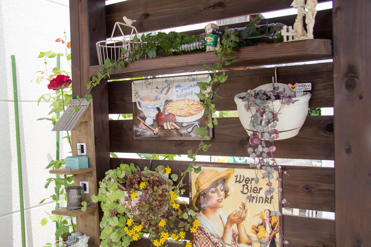 バラと家庭差延を楽しむ