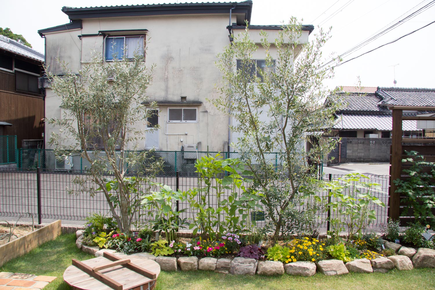 バラと家庭差延を楽しむ