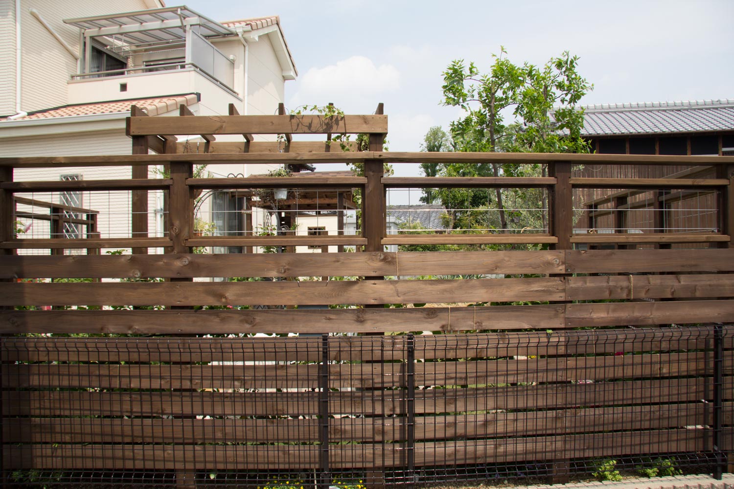 バラと家庭差延を楽しむ