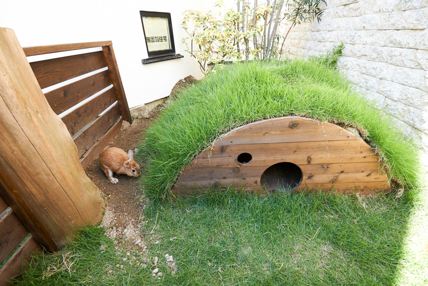 木製自転車小屋とビオトープとオリジナル立水栓のあるショップガーデン