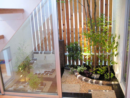 無一本のコハウチワモミジを３度楽しむことのできる坪庭