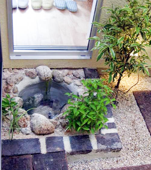 無一本のコハウチワモミジを３度楽しむことのできる坪庭