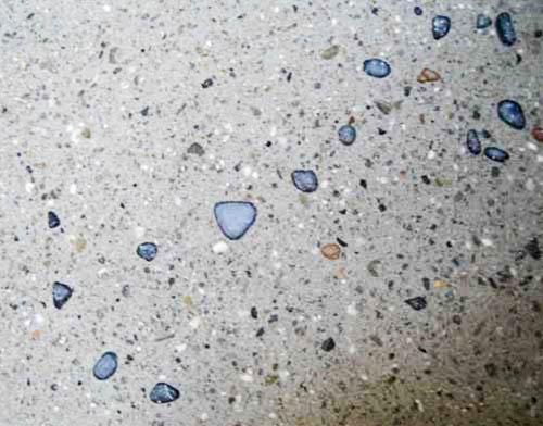 無一本のコハウチワモミジを３度楽しむことのできる坪庭