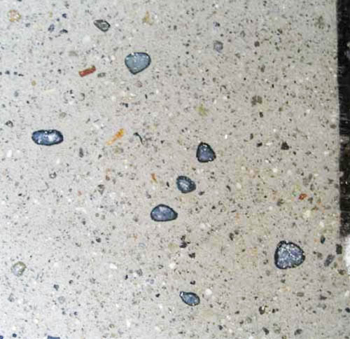 無一本のコハウチワモミジを３度楽しむことのできる坪庭