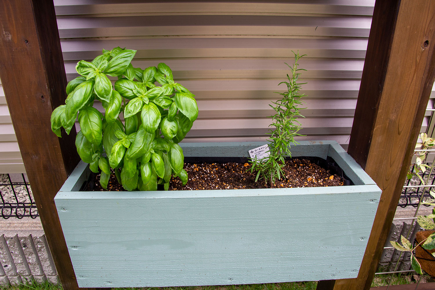 家族が楽しく暮らせる工夫がつまった庭とテラスハウス