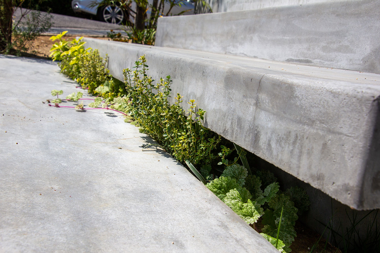 シンクつき木製自転車置き場